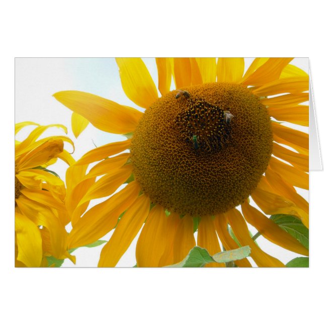 Cartão Abelhas ensolaradas (Frente Horizontal)