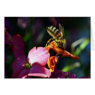 Cartão Abelhas Ocupadas!