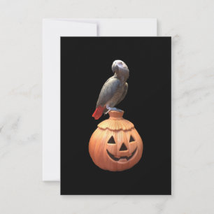 Cartão Abóbora de Halloween Papagaio Cinzento Africano