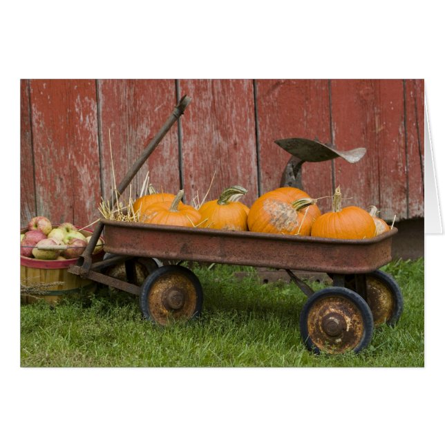 Cartão Abóboras em velha carroça (Frente Horizontal)