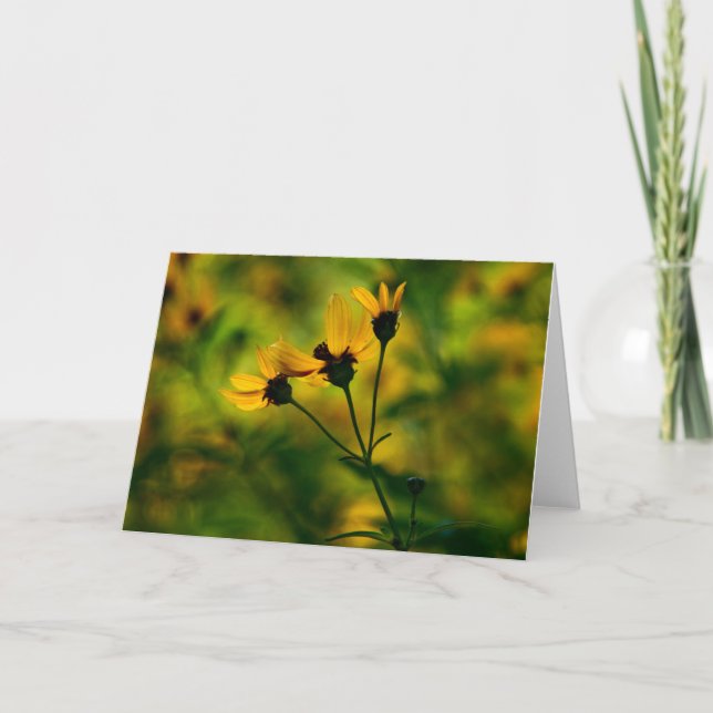 Cartão Abordagem do outono (Frente)