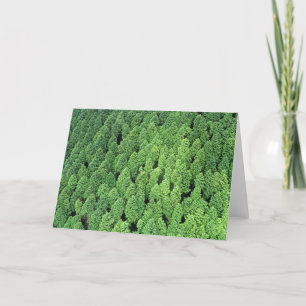 Cartão Above the Forest