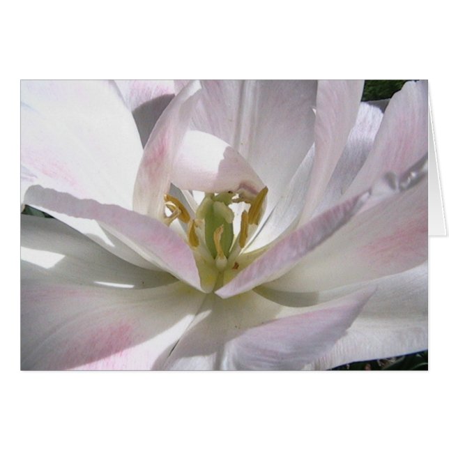 Cartão abra sua mente (Frente Horizontal)