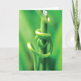 Cartão Abraço do Lover, Twisted Tendril Vine, sinto sua f