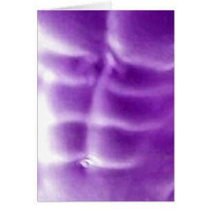 Cartão Abs