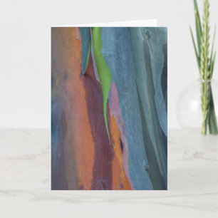Cartão Abstract Of Rainbow Gum Tree