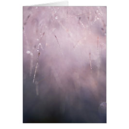 Cartão Abstrato Grass Dew Drop Blue Brown Background