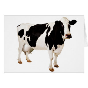 Cartão Absurdo da teta