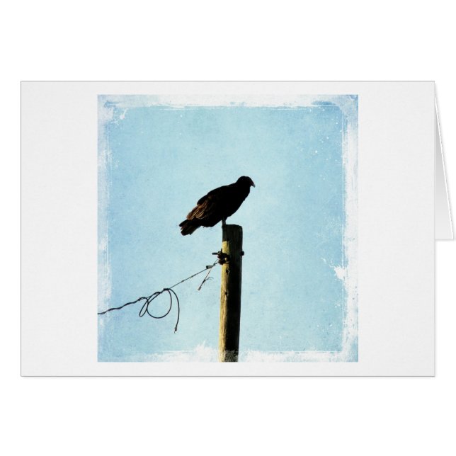 Cartão Abutre (Frente Horizontal)