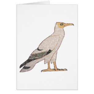 Cartão Abutre