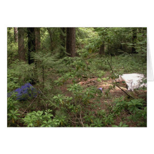 Cartão Acampamento das barracas