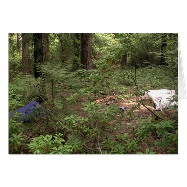 Cartão Acampamento de tendas (Frente Horizontal)