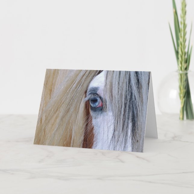 Cartão aciganado da visão (Frente)