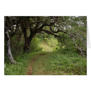 Cartão Acima do vale de Manoa