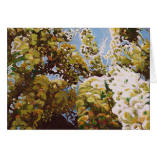 Cartão Acima nas glicínias 2011