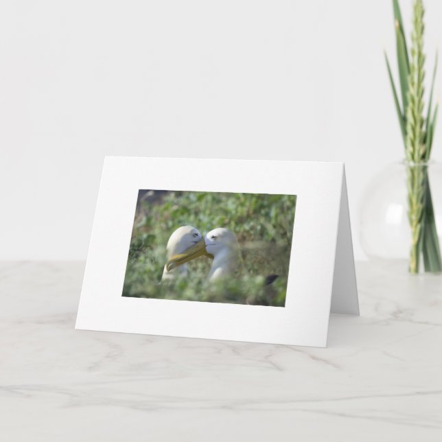 Cartão Acoplado para a vida (Frente)