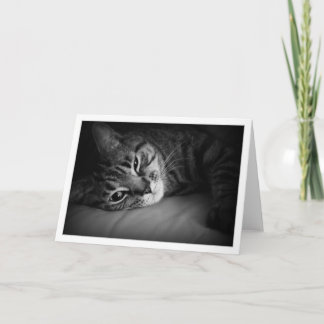 Cartão Acordar da manhã