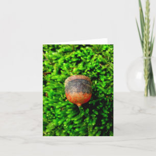 Cartão Acorn & Moss Notecard