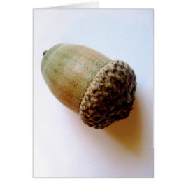 Cartão Acorn Seed
