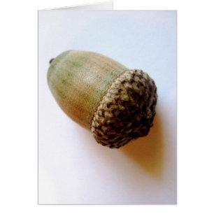 Cartão Acorn Seed