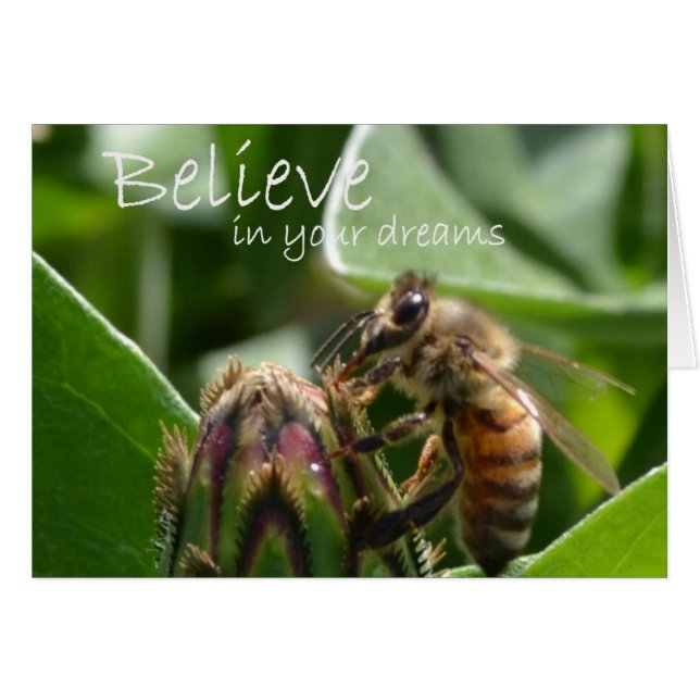 Cartão Acredite em seus sonhos (Frente horizontal)