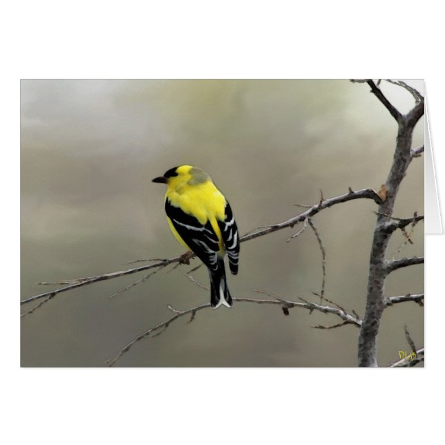 Cartão Acredite sempre em o senhor mesmo (Frente Horizontal)