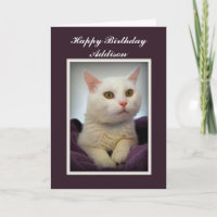 Addison Happy Birthday White Cat Card