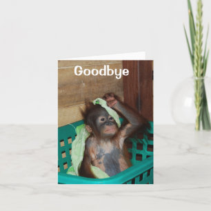 Cartão Adeus, Serei Perdido