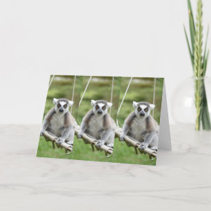 Cartão ADICIONAR O SEU PRÓPRIO Limão DE TEXTO