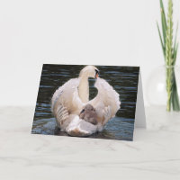 ADICIONAR SEU PRÓPRIO TEXTO, Mãe e Filhos Swan