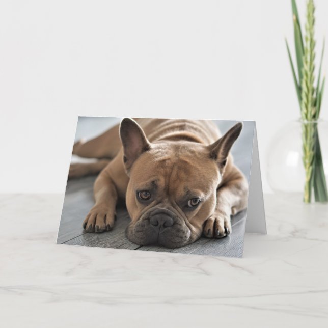 Cartão ADICIONE SEU PRÓPRIO TEXTO Frenchie bonito (Frente)