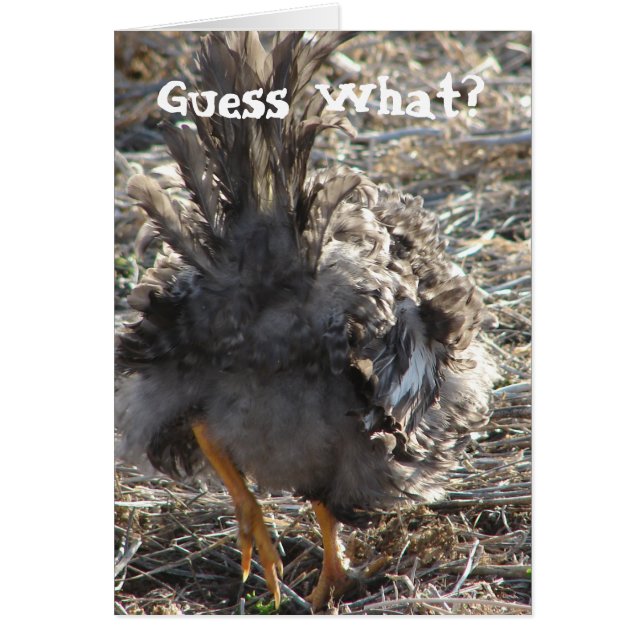 Cartão Adivinha O Que? Bumbum de frango (Frente)