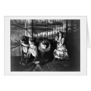 Cartão Adjie e os leões 1899