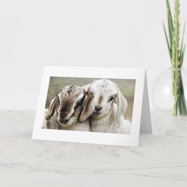 Cartão adoção, adoção, fotografia, (Frente)