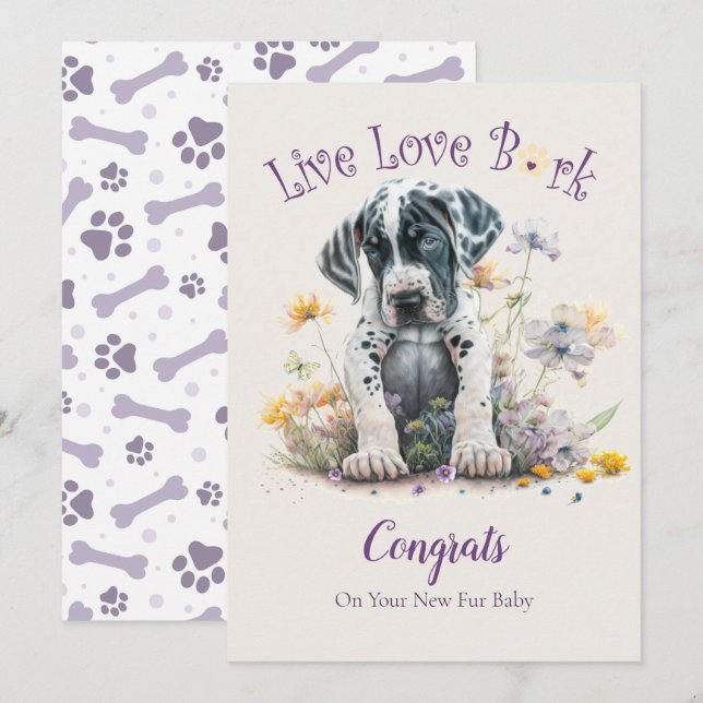Cartão Adoção de Cães Great Dane, Dia da Captura (Frente/Verso)