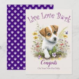Cartão Adoção de Cães Jack Russell, Dia da Captura