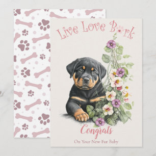 Cartão Adoção de Cães Rottweiler, Dia da Conquista