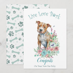 Cartão Adoção de Cães Staffordshire Terrier, Dia da Captu