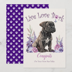 Cartão Adoção de Cão Cane Corso, Dia da Conquista