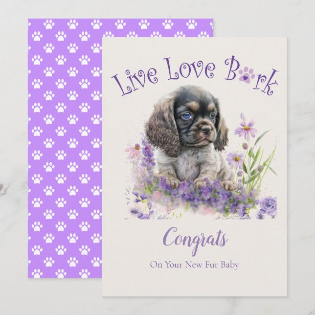 Cartão Adoção de Cão Cocker Spaniel, Dia da Captura (Frente/Verso)