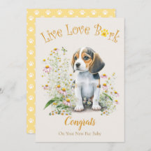 Adoção De Cão De Beagle, Dia Do Apanho