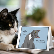 Adoção de Mãe de Gato