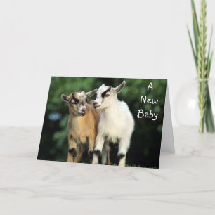 CARTÃO ADOÇÃO - SEM PARABÉNS DE CRIANÇA!