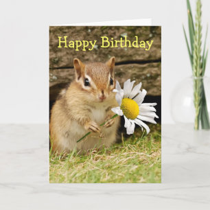 Cartão Adorable Baby Chipmunk with Daisy - Happy Birthday