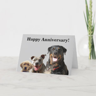 Cartão Adorable Pets Anniversary Card