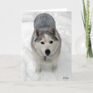 Cartão Adoração total, S Cyr