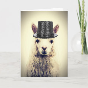 Cartão Adorável Alpaca, Aniversário