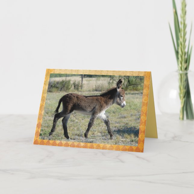 Cartão adorável dos parabéns do burro do bebê (Frente)