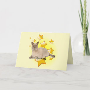 Cartão Adorável Gato birmanês bronzeado nas Estrelas