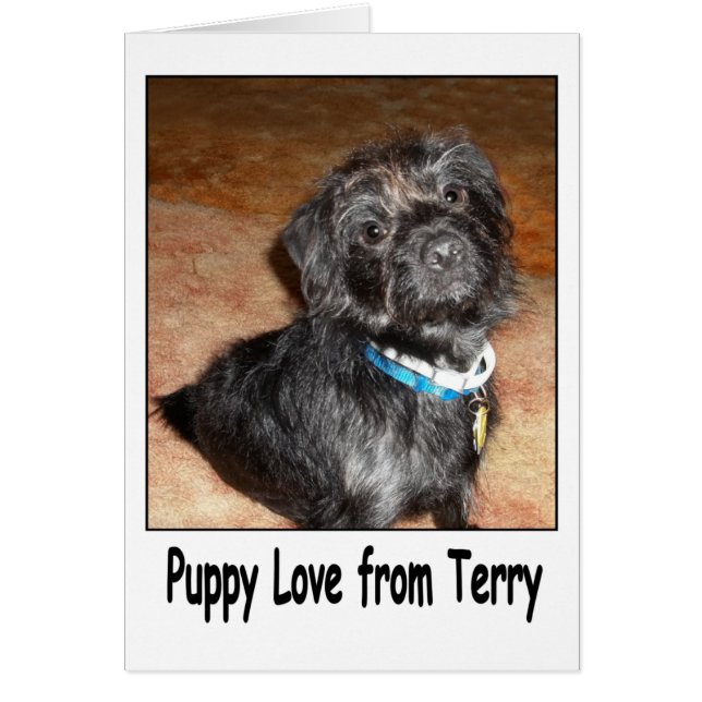 Cartão Adorável "Puppy Love From Terry" (Frente)